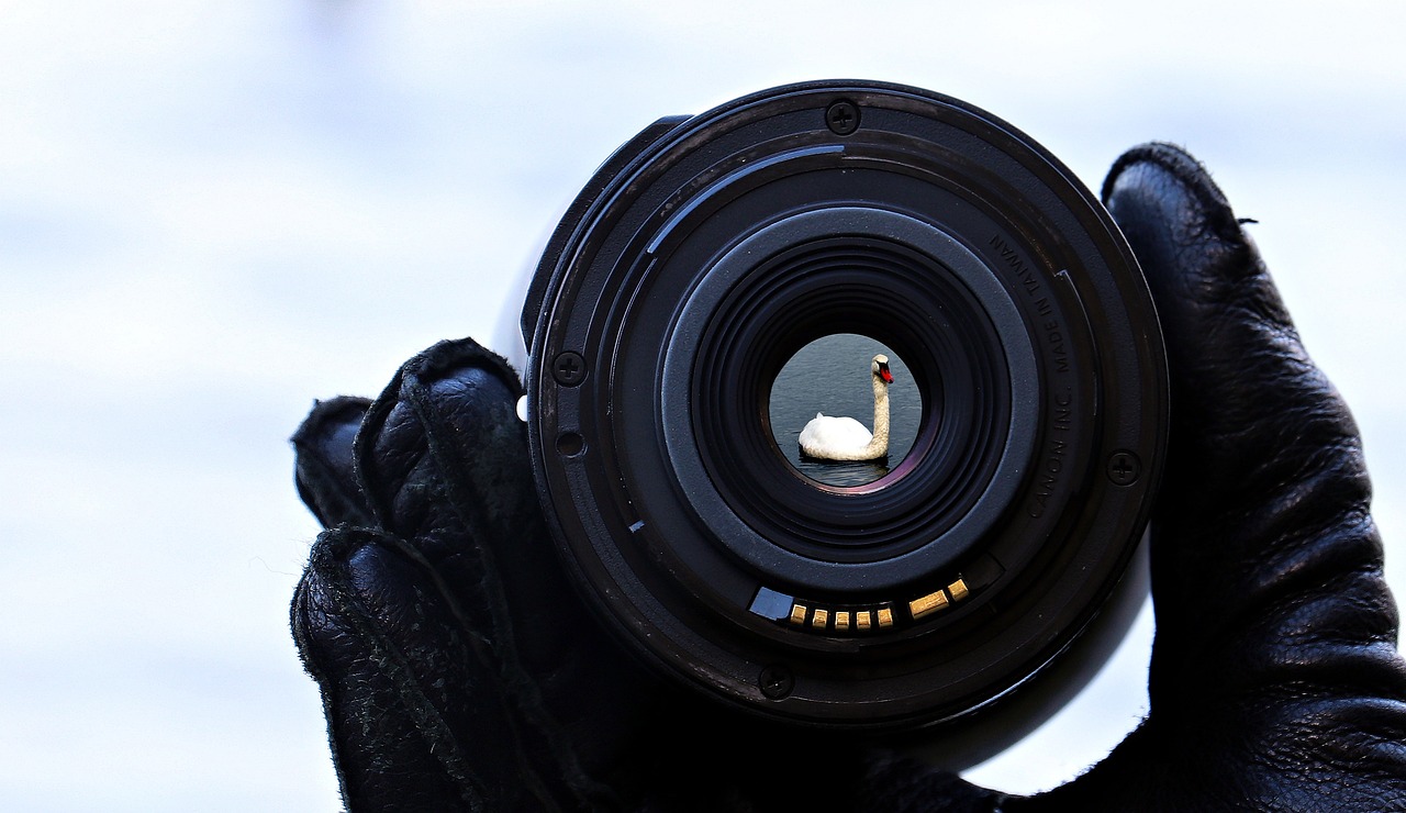 Lensa yang Wajib Dimiliki Setiap Fotografer Pemula